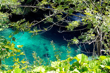 Forest Waterfall. Crystal Clear Water. Small Stream Forest. Cascade Waterfalls In The Park. Beautiful Nature. Plitvice Lakes National Park.