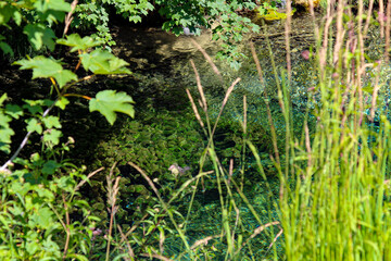 Forest Waterfall. Crystal Clear Water. Small Stream Forest. Cascade Waterfalls In The Park. Beautiful Nature. Plitvice Lakes National Park.