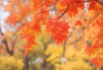 Tree branch with beautiful red autumn leaves on