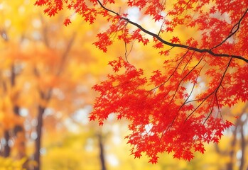 Tree branch with beautiful red autumn leaves on