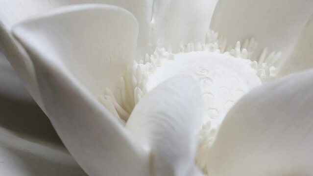 A closeup clip of a ceramic white flower, focusing on its details, while it is rotating 360 degrees on a display table