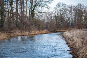 Spokojna rzeka meandrująca przez zimowy krajobraz