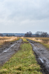 Wiejska droga między polami z zimowym krajobrazem