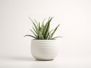 Ceramic Plant Pot Home Decor Isolated on White Background AI Generated