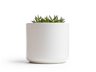 Ceramic Plant Pot Home Decor Isolated on White Background AI Generated