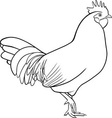 Rooster outline vector illustration