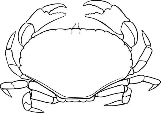 recommend clip art: crab outline illustration isolated
