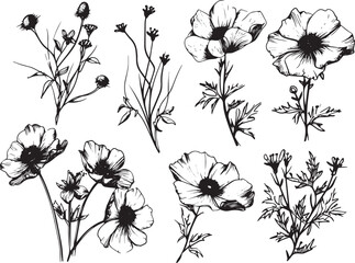 Set Flowers. Hand drawn vector illustration