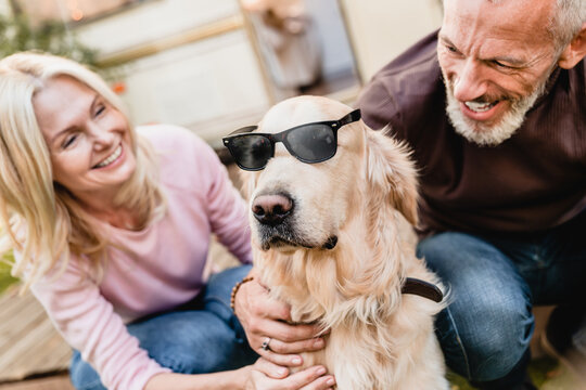 Cropped picture of a dog wearing sunglasses and mature caucasian couple laughing. Travelers spouses husband and wife traveling together with a dog in trailer motor home camper van