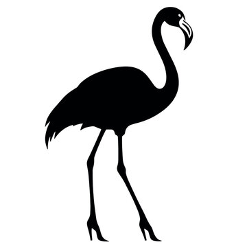 Vector image of flamingo: graceful waterbird in black and white