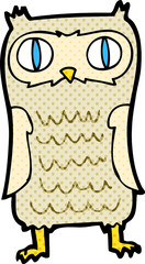 cartoon  owl