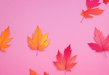 Fototapeta premium Multicolored set autumn leaves on pink pastel