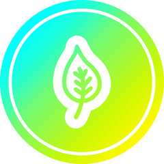 natural leaf circular in cold gradient spectrum