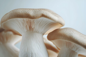 Fototapeta na wymiar Mushrooms background. Very detailed studio macro photography