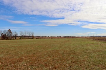 Fototapeta premium The empty grass field in the country on a sunny day.