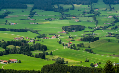 Fototapeta na wymiar landscape with green fields