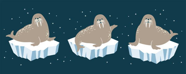 Vector illustration of  cute walruses on icebergs - 725877963