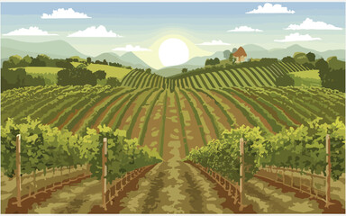 Vine yard landscape with rural horizon, digital art ,illustration