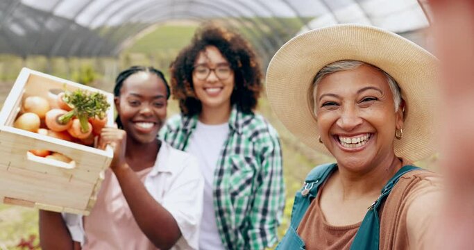 Farm, selfie and women in a greenhouse for vegetable harvest, agriculture or small business. Sustainability, face or happy farmer team in nature for agro profile picture, social media or startup blog