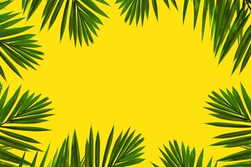 Fototapeta na wymiar Natural palm leaf on yellow background