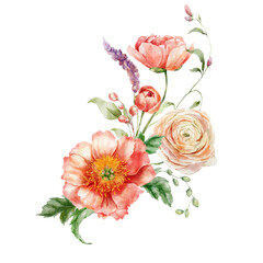 Watercolor bouquet of peonies, ranunculi and leaves. Hand painted card of floral elements isolated on white background. Holiday flowers Illustration for design, print, fabric or background.