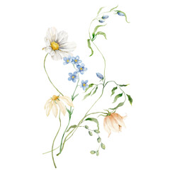Watercolor bouquet of daisy, forget-me-not, cosmos flower and leaves. Hand painted floral card isolated on white background. Holiday flowers Illustration for design, print, fabric or background.