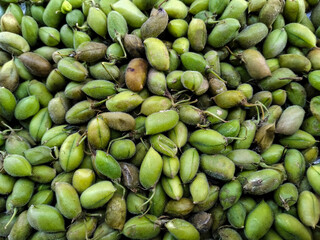 Top view of Fresh Green Chickpeas in the Local Market. Healthy and green food. Fresh green chickpeas. Pods of green organic chickpeas on the Cart. Holay in Hindi Language.
