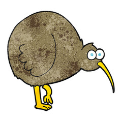 textured cartoon kiwi bird