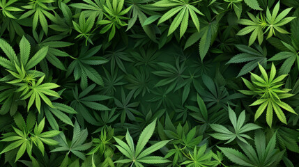 Dense cannabis leaves creating a natural green backdrop. - obrazy, fototapety, plakaty