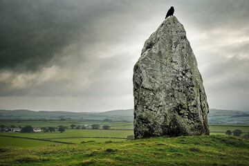 Crow perched atop ancient menhir standing stone, Ireland countryside in background, Celtic, the Morrigan myth legend, copyspace - obrazy, fototapety, plakaty