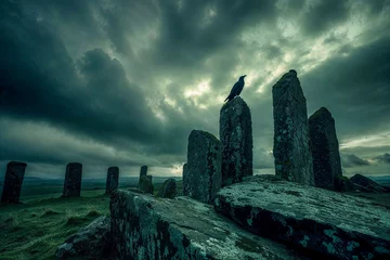 Fotobehang Crow perched atop ancient menhir standing stone, Ireland, dark overcast spooky sky, Celtic, the Morrigan myth legend © Sunshower Shots