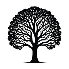  Tree Silhouette with Detailed Branches