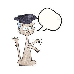 speech bubble textured cartoon cat with graduation cap