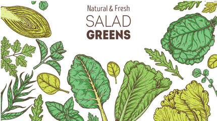Salad greens frame. Healthy food. Hand drawn vector illustration. Cooking salad. Vegan food.