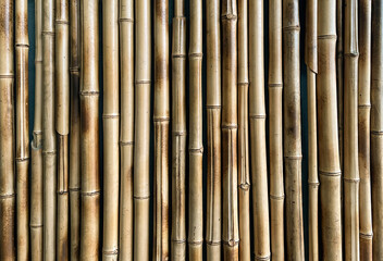 Bamboo wall texture, full frame coverage
