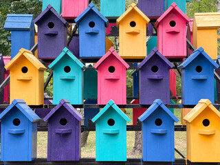 Lots of colorful birdhouse in the woods for the birds