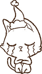 Crying Cat Charcoal Drawing