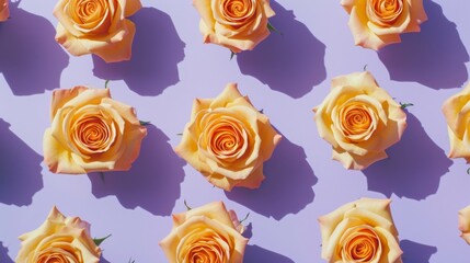 A Bunch of Yellow Roses on a Purple Surface
