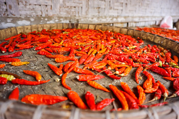 Red chili drying process under the sun light to make the product last longer