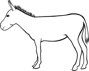donkey outline illustration on transparent background