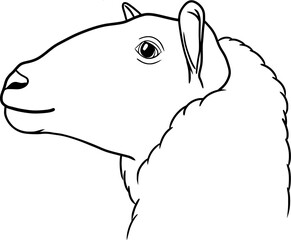 Sheep head vector outline illustration isolated