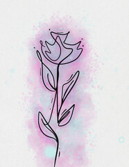 tulip flower ink with watercolor background 