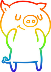 rainbow gradient line drawing happy cartoon pig