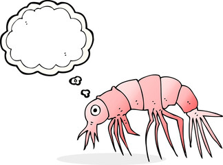 cartoon shrimp with thought bubble