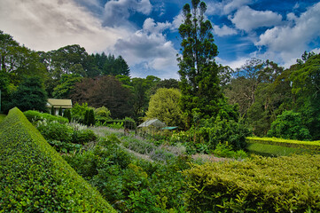 Large garden, bordered by mature trees, in summer. Mount Macedon, Victoria, Australia
