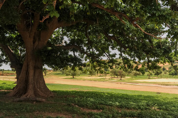 Mali landscape on the Bandiagara Fault