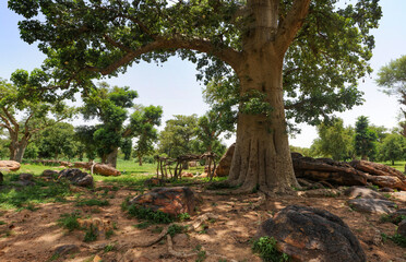 Mali landscape on the Bandiagara Fault