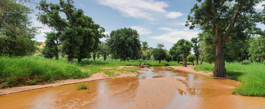 Mali landscape on the Bandiagara Fault