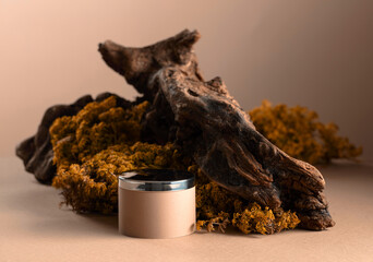 Abstract north nature composition and  podium for your product.