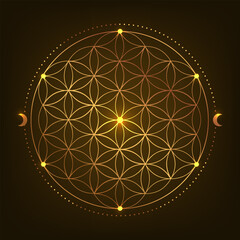 Sacred Geometry Symbol. Vector illustration. Mystic esoteric Flower of Life. Golden Seed of life. Mandala lotus flower on black background